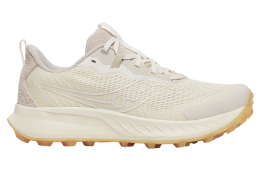 3sixteen X Saucony Peregrine 15 Dynamic