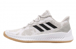 Adidas Harden B/E X Footwear White Core Black Raw White
