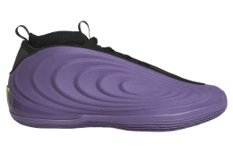 Adidas Harden Vol. 10 Tech Purple / Core Black