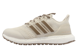 Adidas Ultra Boost DNA Guard Aluminium