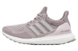 Adidas Ultraboost 1.0 W WMNS Preloved Fig / Grey One