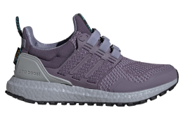 Adidas Ultraboost 1.0 WMNS Shadow Violet / Silver Violet