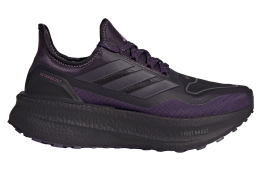 Adidas Ultraboost 5 Gtx WMNS Aurora Black / Aurora Plum