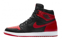 Air Jordan 1 High OG SE W Retro High OG NRG Homage To Home