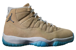 Air Jordan 11 H-Town