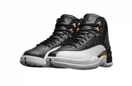 Air Jordan 12 Wings