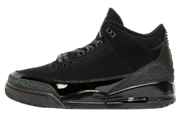 Air Jordan 3 Black Cat 2025