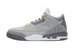 Air Jordan 3 Cool Grey 2021