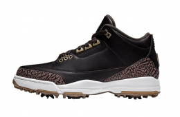 Air Jordan 3 Golf Bronze