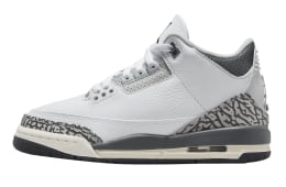 Air Jordan 3 GS Hide N’ Sneak