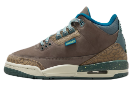 Air Jordan 3 GS We Outside