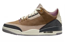 Air Jordan 3 Winterized Archeo Brown