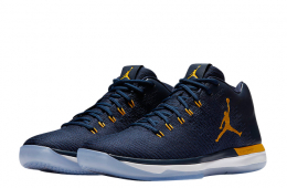 Air Jordan 31 Low Michigan