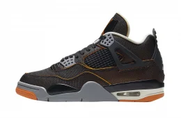 Air Jordan 4 WMNS Starfish
