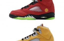 Air Jordan 5 GS What The