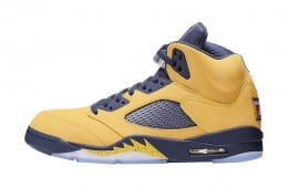 Air Jordan 5 Inspire