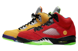 Air Jordan 5 What The