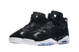 Air Jordan 6 GS Heiress