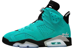 Air Jordan 6  Light Aqua / Multi