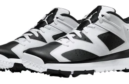 Air Jordan 6 Retro Low Golf - White / Black