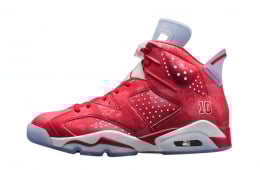 Air Jordan 6 Slam Dunk