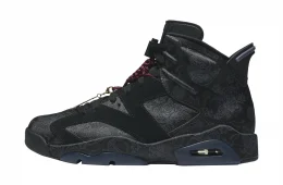 Air Jordan 6 WMNS Singles Day