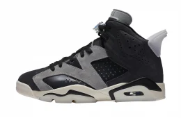 Air Jordan 6 WMNS Tech Chrome