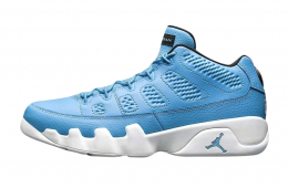 Air Jordan 9 Low Pantone