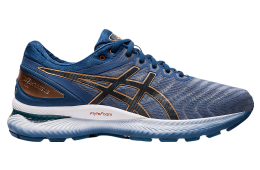 Asics Gel-Nimbus 22 Glacier Grey / Graphite Grey