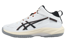 Asics Gelhoop V17 S White / Black