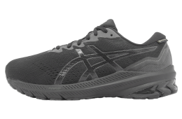 Asics GT-1000 11 GTX 4E Extra Wide Black / Graphite Grey