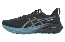 Asics GT-2000 13 Lite-Show CN Black / Clay Grey