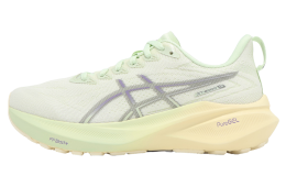 Asics GT-2000 13 Lite-Show CN WMNS Cream / Silver