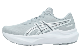 Asics Gt-2000 14 ATC WMNS Piedmont Grey / Pure Silver
