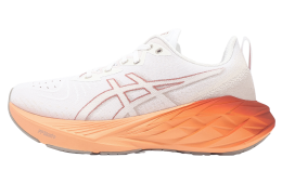 Asics NovaBlast 4 2E Wide White / Moonrock