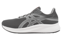 Asics Patriot 13 2E Wide Carrier Grey / Piedmont Grey