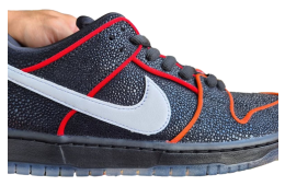 Bronx Girls Skate x Nike SB Dunk Low