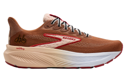 Brooks Ghost 17 Chip n Dale WMNS Brown / Tan