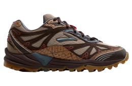 Brooks Staple x Cascadia 1 Ginger / Wren