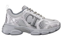 Dior Chrono WMNS Gray Mesh / Silver