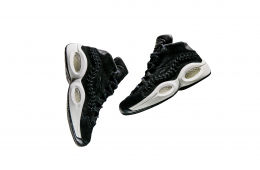 Hall Of Fame x Reebok Question Mid