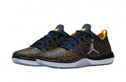 Jordan Trainer 1 Low Michigan