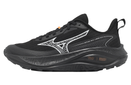 Mizuno Neo Lumina GTX WMNS Black / Silver