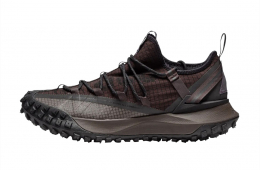 Nike ACG Mountain Fly Low Brown Basalt
