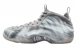 Nike Air Foamposite One Dream A World Tech Grey