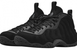 Clothing Shoes Accessories NEW Nike Air Foamposite One ...