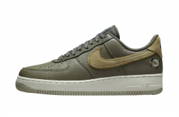 Nike Air Force 1 Low Turtle