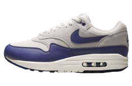 Nike Air Max 1 Vast Grey / Sanded Purple