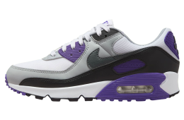 Nike Air Max 90 WMNS Neutral Grey / Purple
