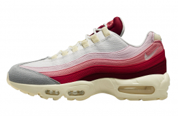 Nike Air Max 95 Anatomy of Air